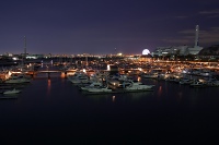 夢の島マリーナの写真