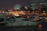 夢の島マリーナの写真