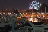 夢の島マリーナの写真